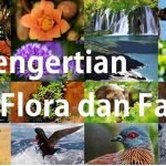 20171118_063502faunadanflora_11zon