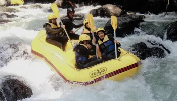 image-24