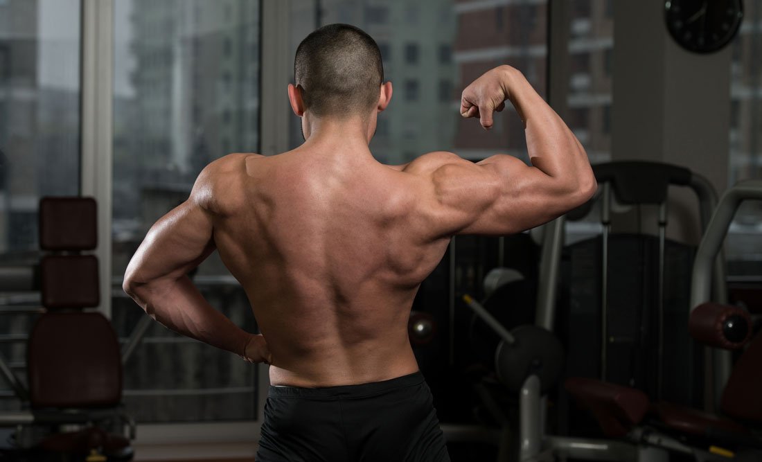 Latihan Otot Bahu: Panduan Lengkap untuk Tubuh yang Ideal