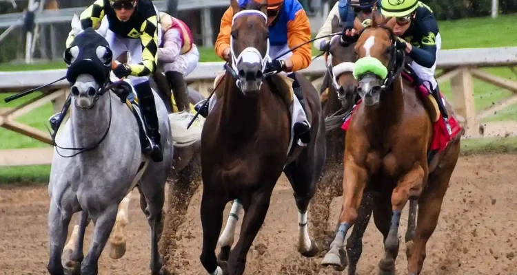 Olahraga Pacuan Kuda, Adu Kecepatan yang Menuntut Nyali dan Ketelitian
